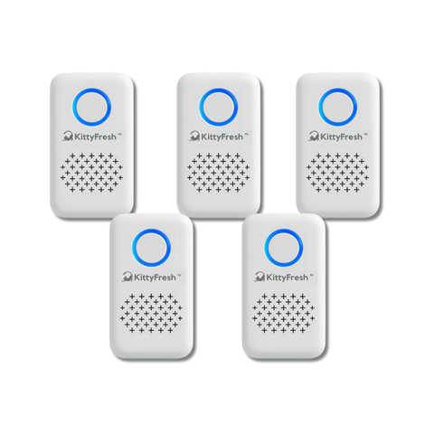 كي تي فريش™