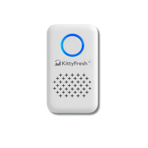 كي تي فريش™