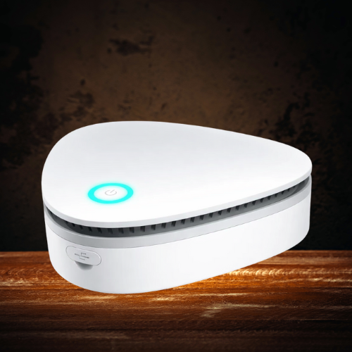 أتموسايرا دبليو دبليو